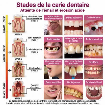 🇫🇷 Trilumia® DenPerm🦷 Gel de Soin Dentaire Avancé – Émail Plus Fort & Sourire Naturel ✨